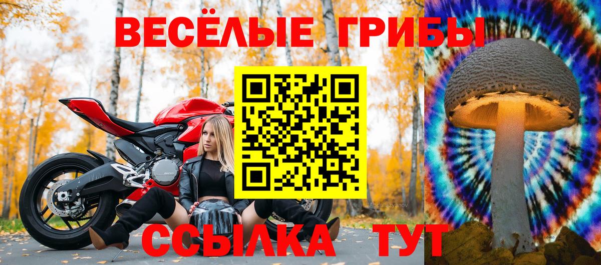 Галлюциногенные грибы прущие грибы  Вход с VPN  Ижевск 