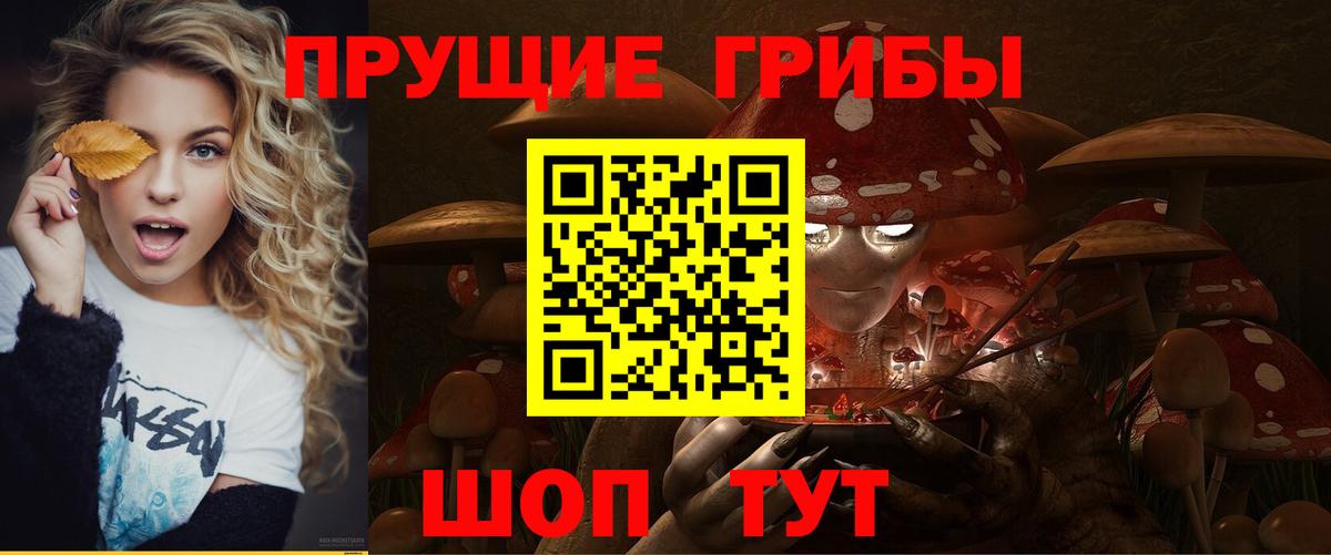 Псилоцибиновые грибы мицелий Ижевск